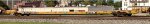 TTXX 700181
